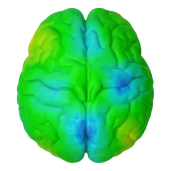 Harmoni-protected brain coherence scan